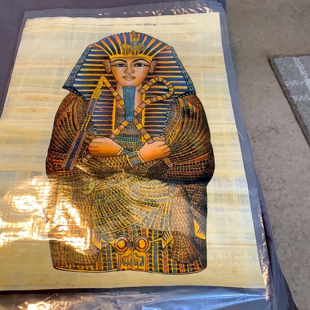 Papyrus - Picture 3 of 3